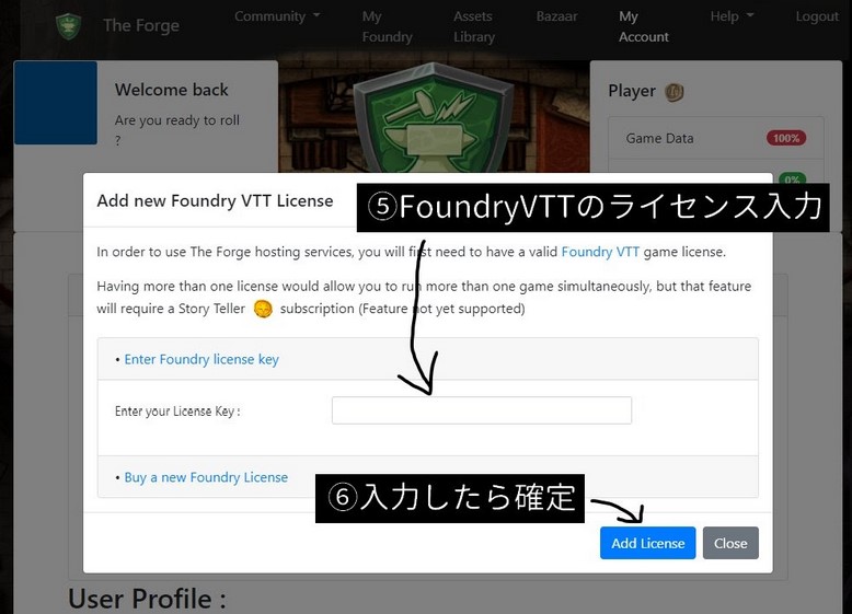 fvttのライセンスを登録3.jpg