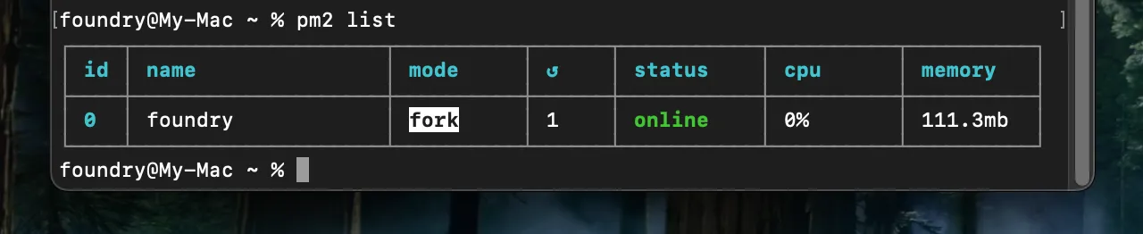 macos-node-pm2list.webp
